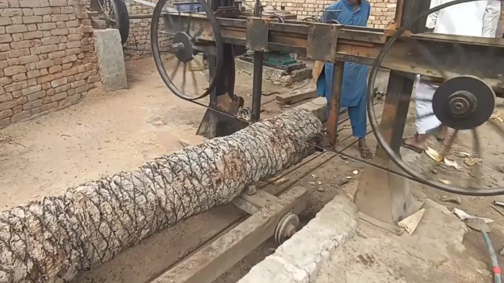 Palm Tree used in custom furnure in dubai