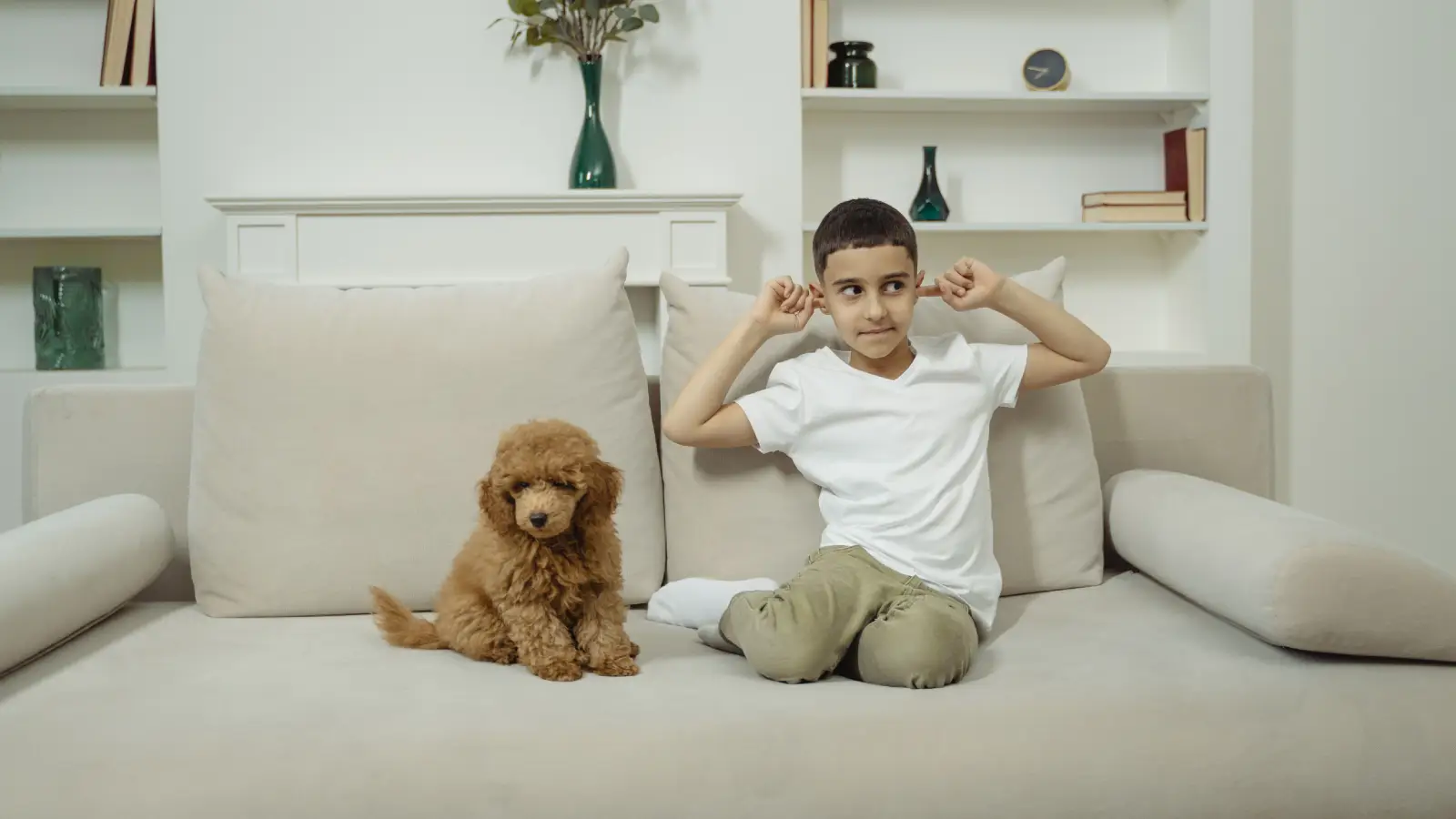 Family &amp; Pet-Friendly Furniture Upholstery in Dubai Hills